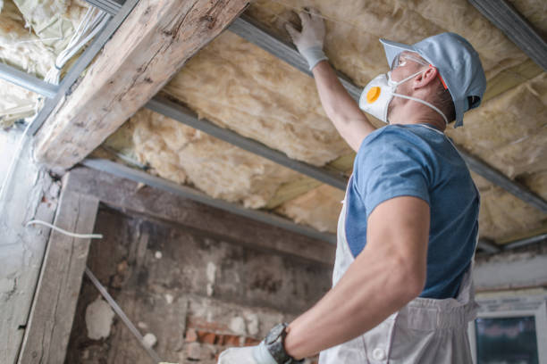 Best Insulation Installation Services in Newberry, MI